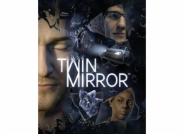 ESD Twin Mirror