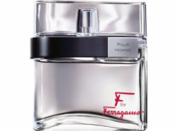 Salvatore Ferragamo F od Ferragamo Pour Homme EDT 100 ml