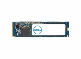 Dell disk 1TB SSD M.2 PCIe NVME 2280 class 40