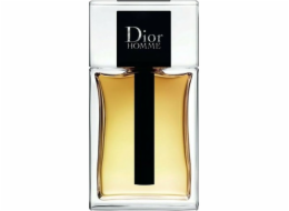 Dior Homme EDT 100 ml