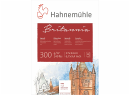 Hahnemühle Britannia Watercolour 12 sheets rough 17x24cm 300g