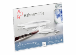 Hahnemühle Harmony Watercolour rough   12 Sheets  300g  A