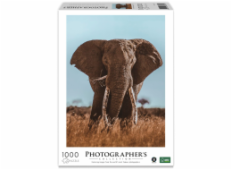 Ambassador African Elephant 1000 Pieces (Donal Boyd)