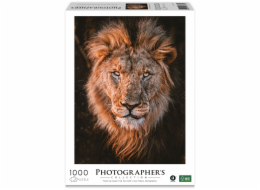 Ambassador Lion Head 1000 Pieces (Donal Boyd)