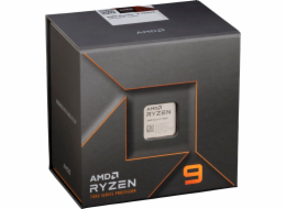 AMD Ryzen 9 7900X Box AM5