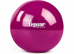 Tiguar Posilovací míč Heavy Ball 1kg Tiguar Purple univ (TI-PHB010)