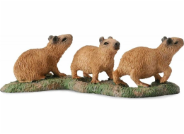 Figurka Collecta CAPIBARA YOUNG - CollectA - 88541 - S