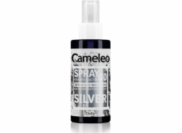 Delia Delia Cosmetics Cameleo Spray & Go sprej na barvení vlasů - SILVER 150 ml