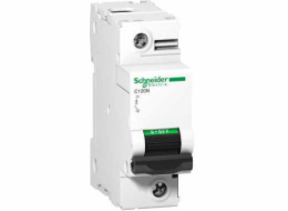 Schneider Electric Jistič 1P C 100A 10kA AC C120N (A9N18358)