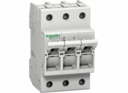 Schneider Electric Pojistkový spínač D01-16-3 MGN01316