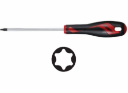 Šroubovák Teng Tools TX T20 x 100 mm (177790706)