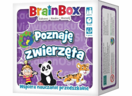 Rebel BrainBox - Poznávání zvířat