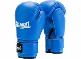 Allright TRAINING PRO BOXING GLOVES 14oz univerzální