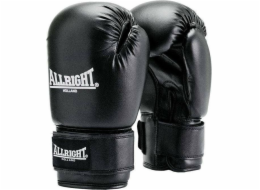 Allright TRAINING PRO BOXING GLOVES 6oz univerzální