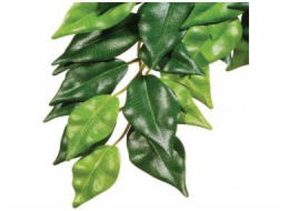 HAGEN EXOTERRA FICUS M. ROSTLINA