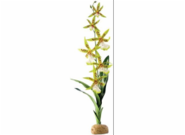 Orchidejová rostlina HAGEN Exoterra 42cm