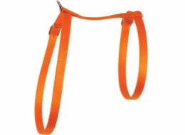 Postroj Zolux Cat nylon 10 mm oranžový