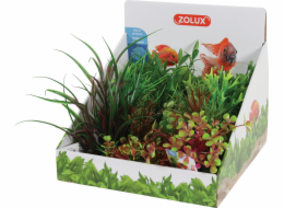 Zolux ZOLUX Plant Display M 6 ks - sada A