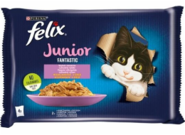 Felix Fantastic Junior rural flavors in