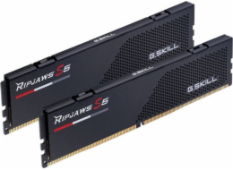  DIMM 48 GB DDR5-5600 (2x 24 GB) duální sada, RAM