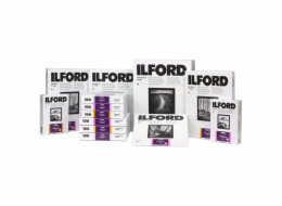 1x 50 Ilford MG RC DL  1M  40x50