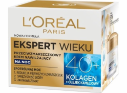 L Oreal Paris Age Expert hydratační noční krém proti vráskám 50 ml