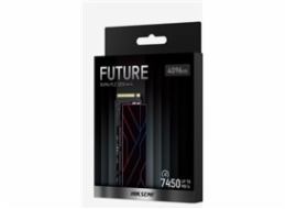 HIKSEMI SSD FUTURE 2048GB, M.2 2280, PCIe Gen4x4, R7450/W6750