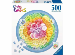 Puzzle Circle of Colors Poke Bowl