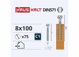 Vruty do dřeva Haushalt, DIN571, 8,0 x 100 mm, ZN, 75 ks.