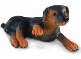 Figurka Collecta COLLECTA DOBERMAN PUPPY