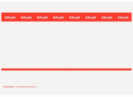 Esselte štítky pro Power No 1 a EKO pořadač 50 mm 10 listů x 8 štítků (10K130Y)