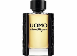 Salvatore Ferragamo Uomo EDT 100 ml