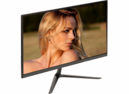 Monitor VM-2411W-P