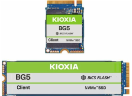 Kioxia BG5 512GB M.2 2230 PCI-E x4 Gen4 NVMe SSD (KBG50ZNS512G)