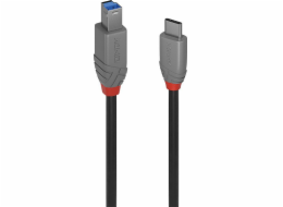 Lindy USB-C – USB-B kabel USB 1 m černý (36666)