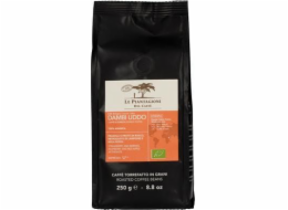 Le Piantagioni del Caffe Ethiopia Dambi Uddo Org kávová zrna 250 g