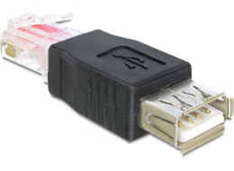 Delock USB adaptér 65234 USB - RJ45 černý (65234)