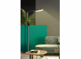 Stojací lampa Standart Multi BL-1926 ČERNÁ, 15 W, LED