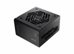 FSP VITA GM/650W/ATX 3.1/80PLUS Gold/Modular/Retail