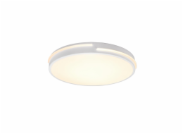 Stropní svítidlo REALITY TACOMA R62241131, 24 W, LED