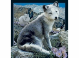 3D magnet Arctic Fox, který se vyplatí (182512)