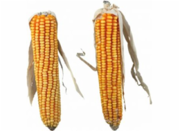 Trixie CORN COBS, 2 ks/250 g