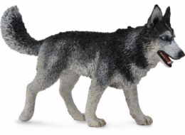 Figurka Collecta sibiřský husky pes (004-88707)