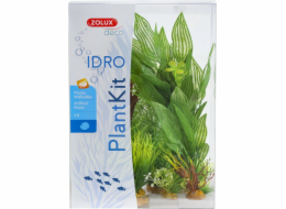 Zolux Plantkit Idro N°2