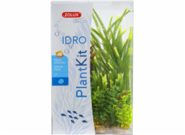 Zolux Plantkit Idro N°4