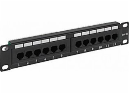 Delta Patch panel 12x RJ-45 (PP10-12/RJ)