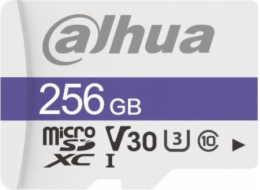 Paměťová karta DAHUA TF-C100/256GB 256GB