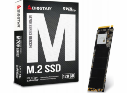 SSD Biostar M700 128GB