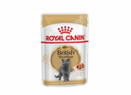 ROYAL CANIN British shorthair balíček 12x85g