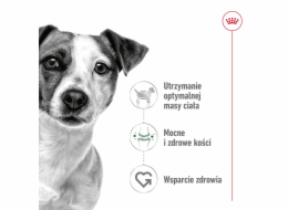 ROYAL CANIN Mini Adult - mokré krmivo pro psy - 12 x 85g